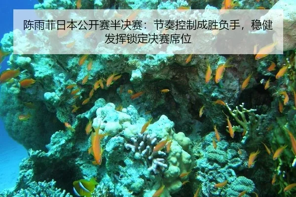 chen-yu-fei-ri-ben-gong-kai-sai-ban-jue-sai-jie-zou-kong-zhi-cheng-sheng-fu-shou-wen-jian-fa-hui-suo-ding-jue-sai-xi-wei-3-178.jpg
