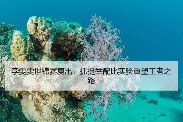 李雯雯世锦赛复出：抓挺举配比实验重塑王者之路