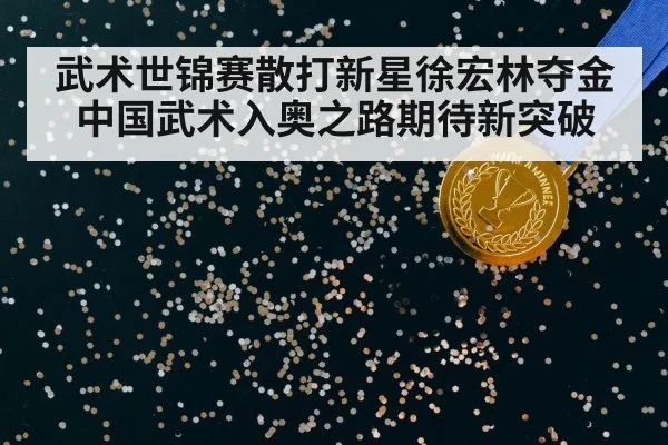 武术世锦赛散打新星徐宏林夺金 中国武术入奥之路期待新突破